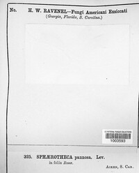 Image Associated With the Occurence